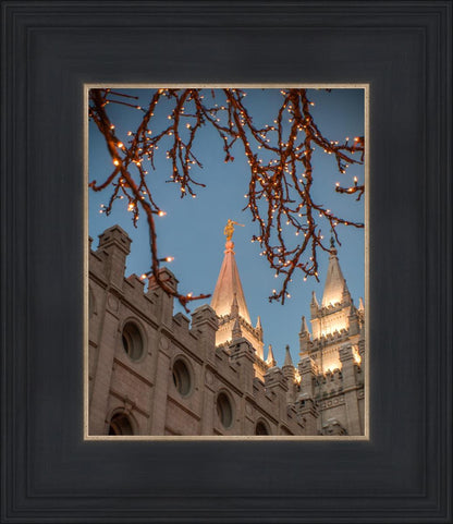 Salt Lake City Temple He Giveth Light