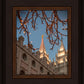 Salt Lake City Temple He Giveth Light