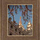 Salt Lake City Temple He Giveth Light