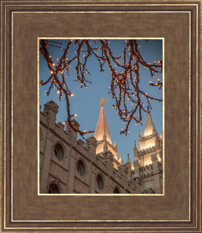 Salt Lake City Temple He Giveth Light