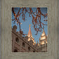 Salt Lake City Temple He Giveth Light