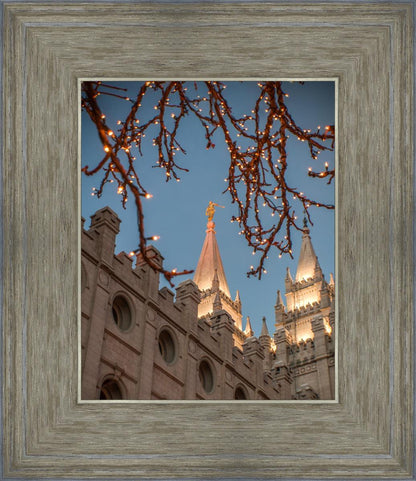Salt Lake City Temple He Giveth Light