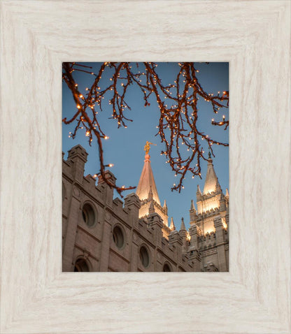 Salt Lake City Temple He Giveth Light