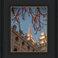 Salt Lake City Temple He Giveth Light