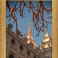 Salt Lake City Temple He Giveth Light