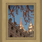 Salt Lake City Temple He Giveth Light