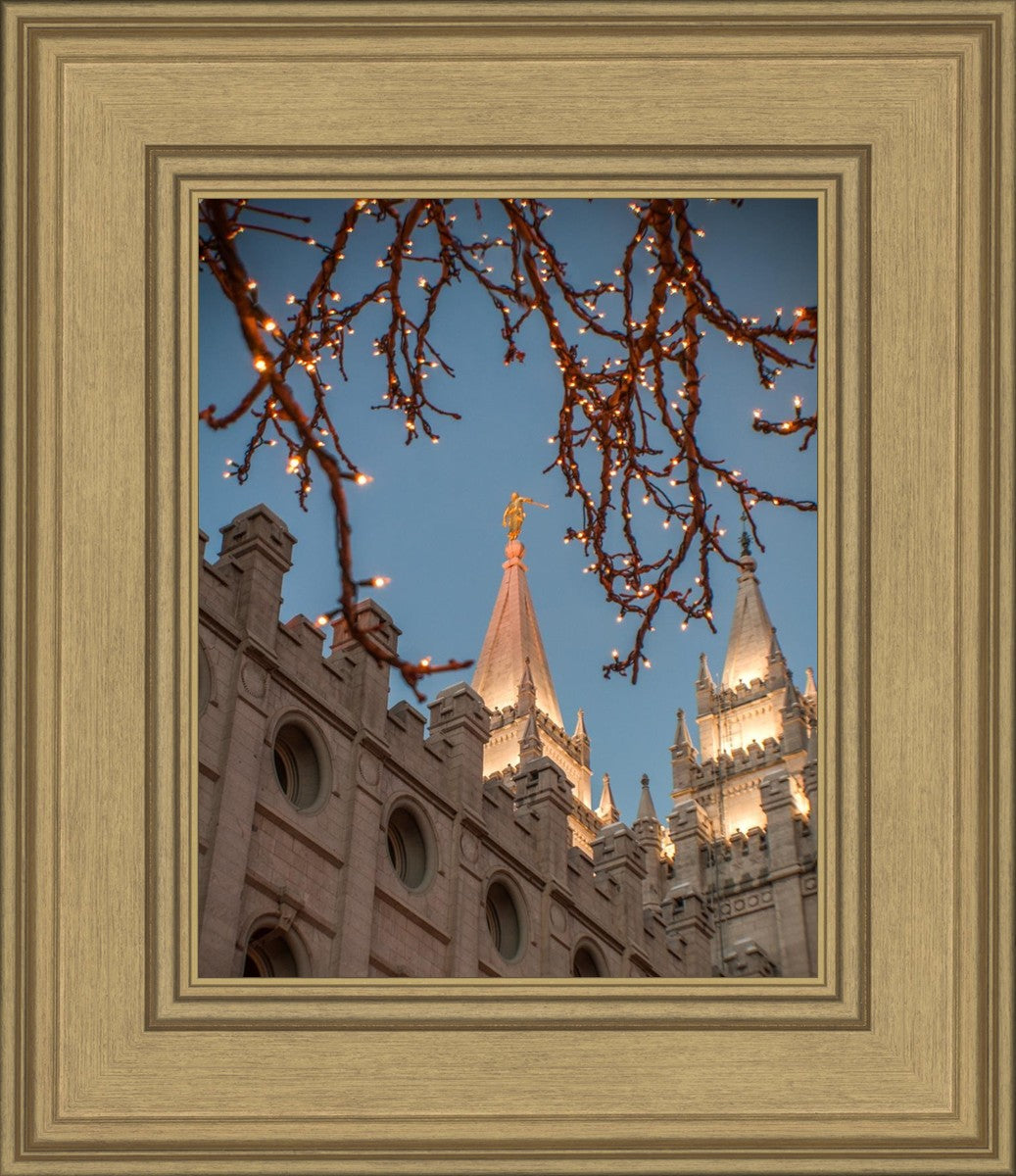 Salt Lake City Temple He Giveth Light