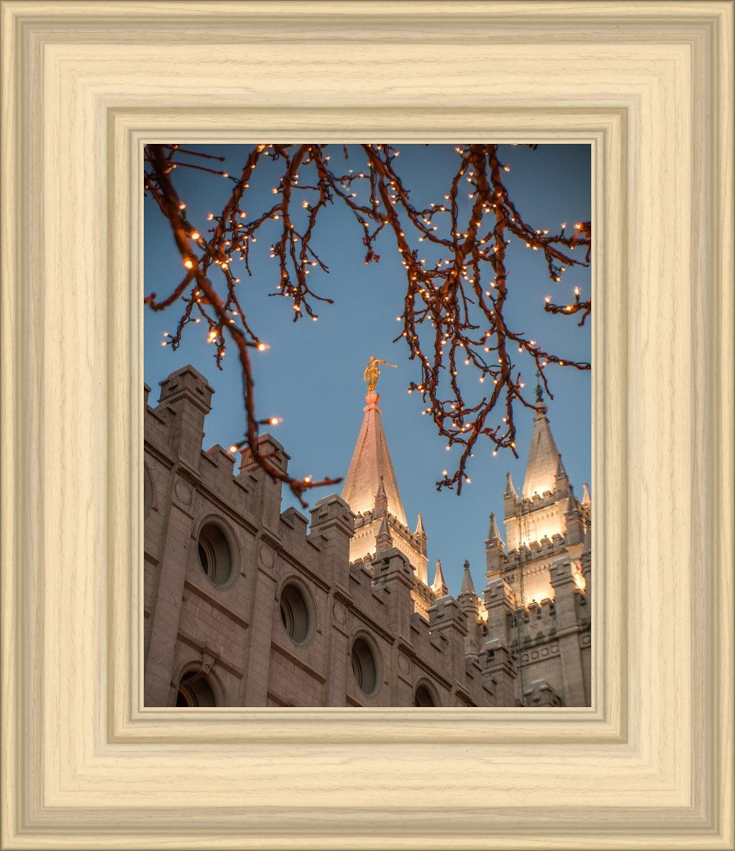 Salt Lake City Temple He Giveth Light