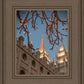 Salt Lake City Temple He Giveth Light