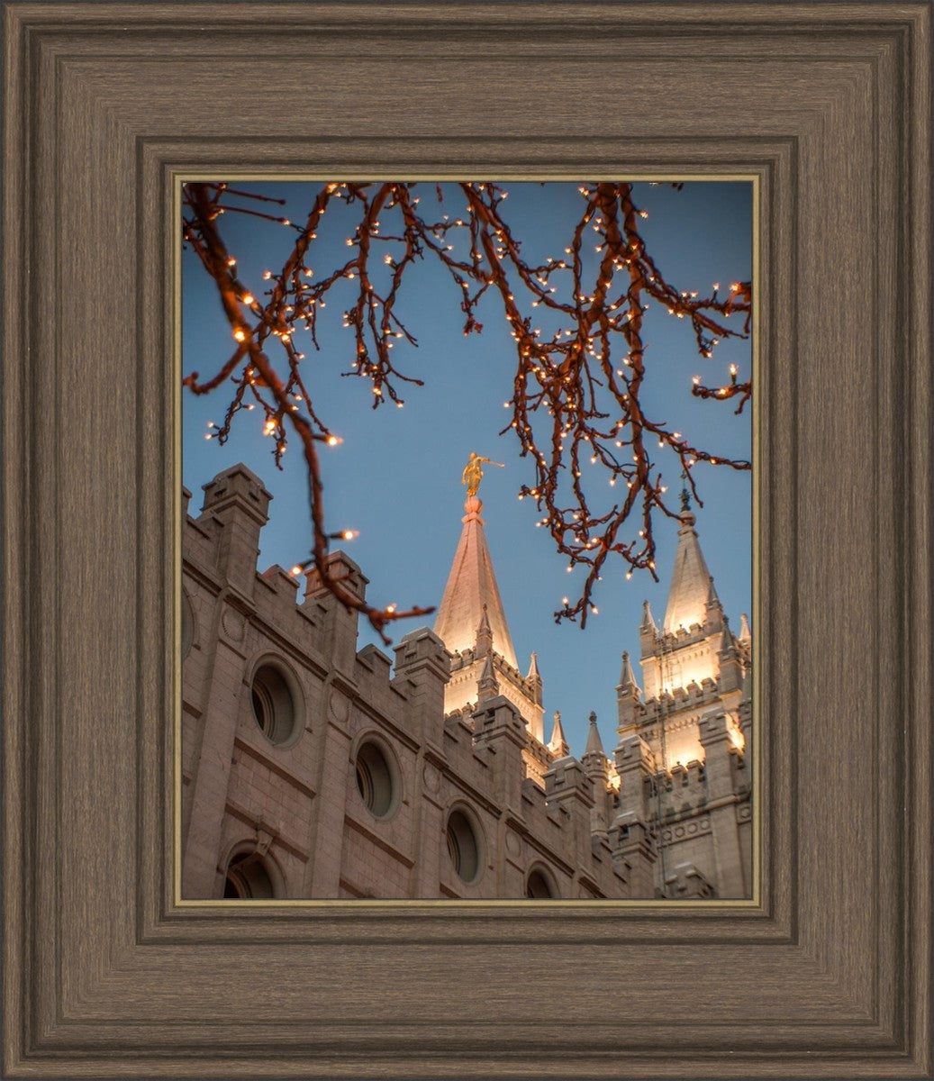 Salt Lake City Temple He Giveth Light