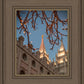 Salt Lake City Temple He Giveth Light