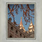 Salt Lake City Temple He Giveth Light