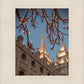 Salt Lake City Temple He Giveth Light