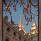 Salt Lake City Temple He Giveth Light