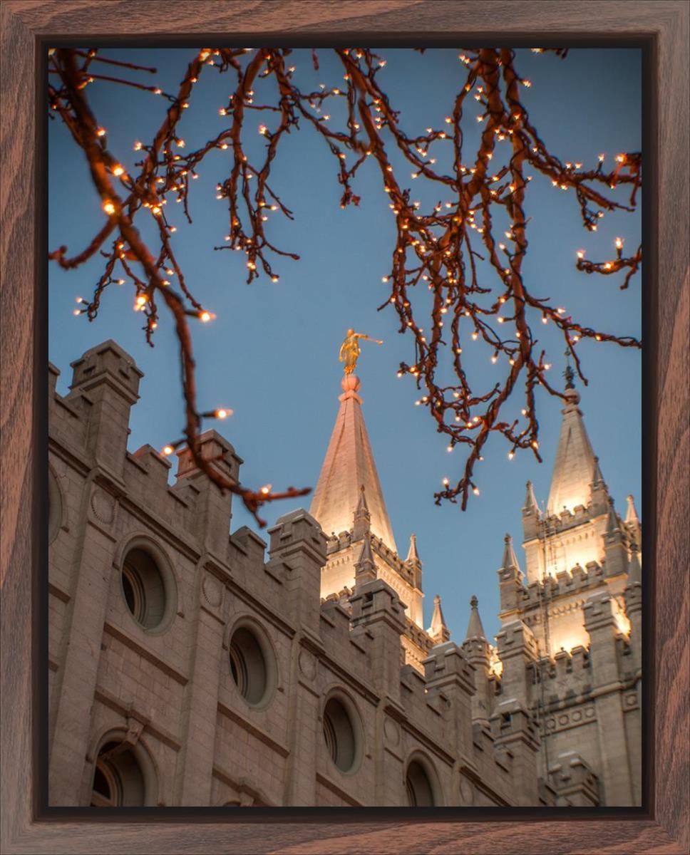 Salt Lake City Temple He Giveth Light