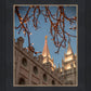 Salt Lake City Temple He Giveth Light