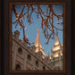 Salt Lake City Temple He Giveth Light