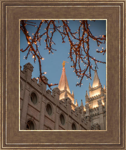 Salt Lake City Temple He Giveth Light