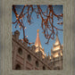 Salt Lake City Temple He Giveth Light