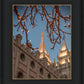 Salt Lake City Temple He Giveth Light