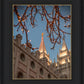 Salt Lake City Temple He Giveth Light
