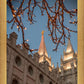 Salt Lake City Temple He Giveth Light