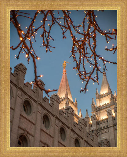 Salt Lake City Temple He Giveth Light