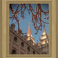 Salt Lake City Temple He Giveth Light