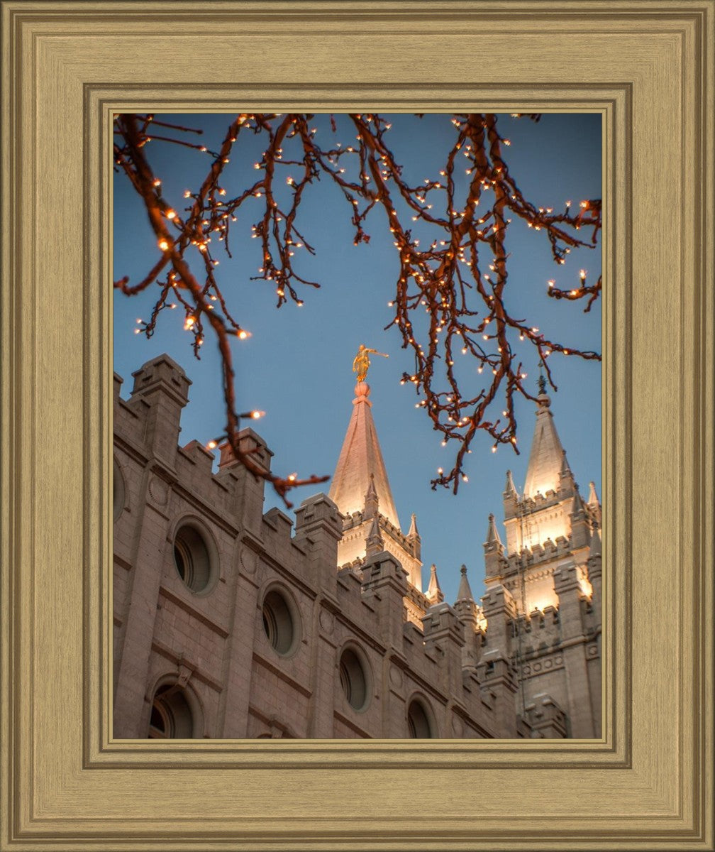 Salt Lake City Temple He Giveth Light