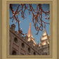 Salt Lake City Temple He Giveth Light
