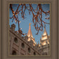 Salt Lake City Temple He Giveth Light