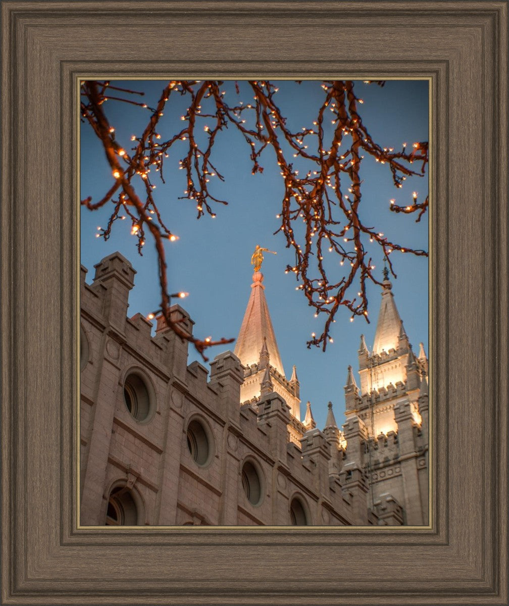 Salt Lake City Temple He Giveth Light