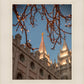Salt Lake City Temple He Giveth Light