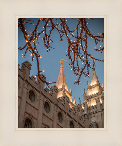 Salt Lake City Temple He Giveth Light