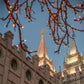Salt Lake City Temple He Giveth Light