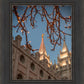 Salt Lake City Temple He Giveth Light