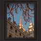 Salt Lake City Temple He Giveth Light