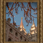 Salt Lake City Temple He Giveth Light