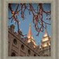 Salt Lake City Temple He Giveth Light