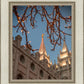 Salt Lake City Temple He Giveth Light