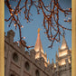 Salt Lake City Temple He Giveth Light