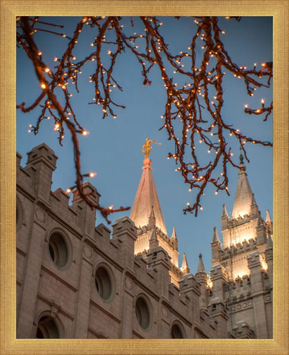Salt Lake City Temple He Giveth Light