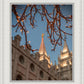 Salt Lake City Temple He Giveth Light