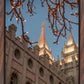 Salt Lake City Temple He Giveth Light