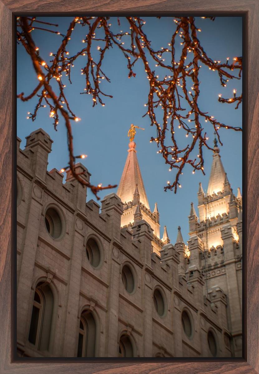 Salt Lake City Temple He Giveth Light