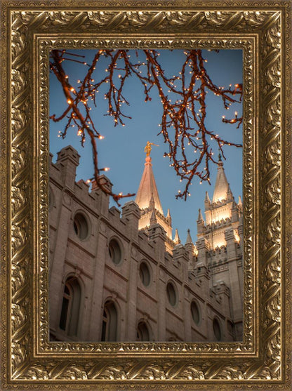 Salt Lake City Temple He Giveth Light