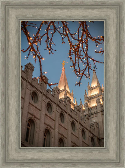 Salt Lake City Temple He Giveth Light
