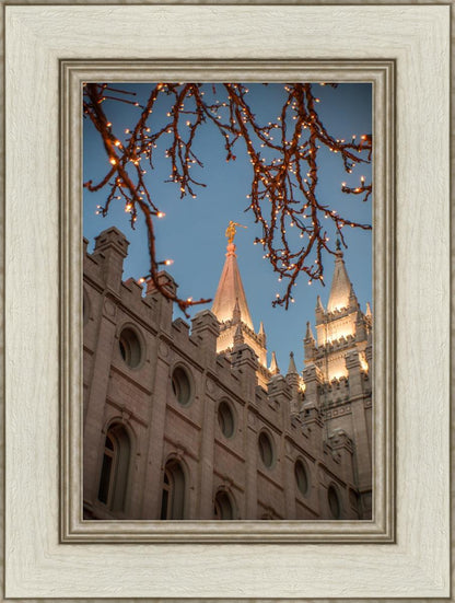 Salt Lake City Temple He Giveth Light