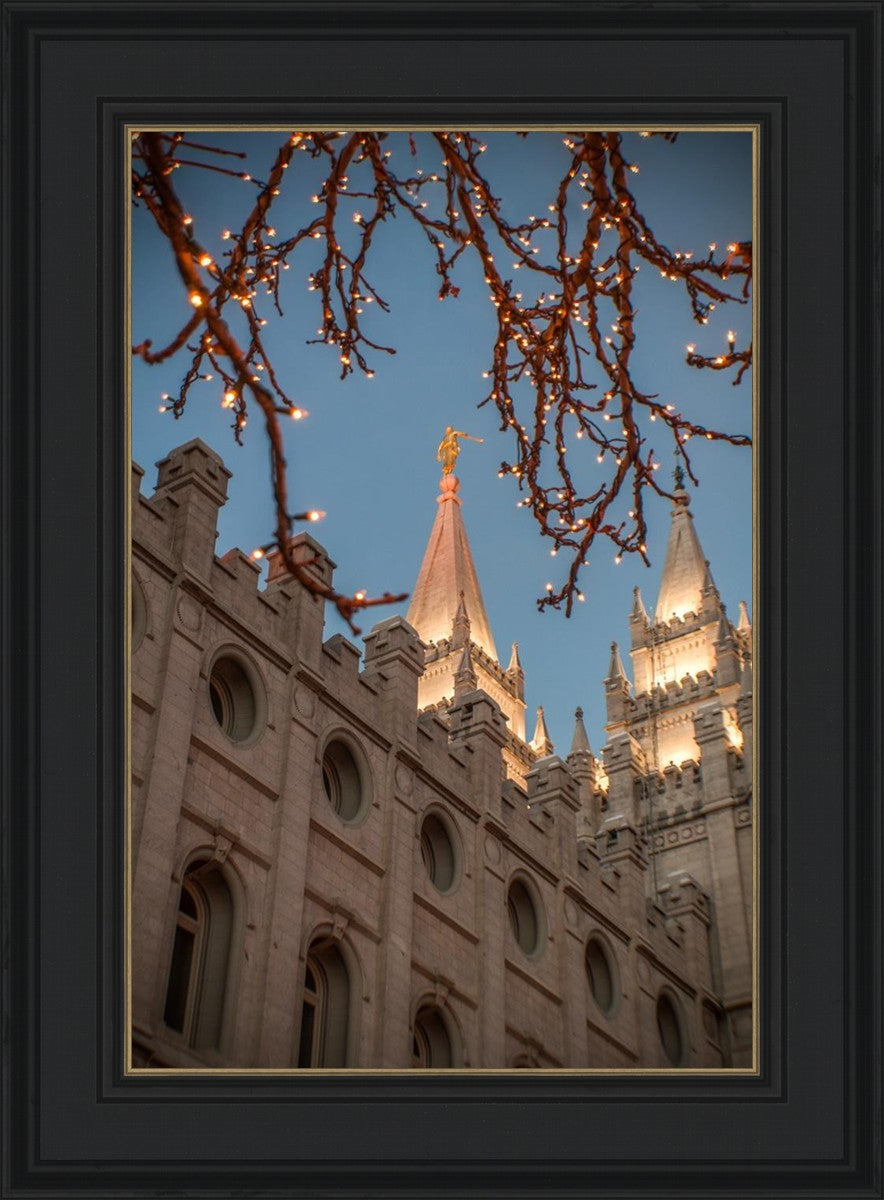 Salt Lake City Temple He Giveth Light