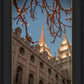 Salt Lake City Temple He Giveth Light